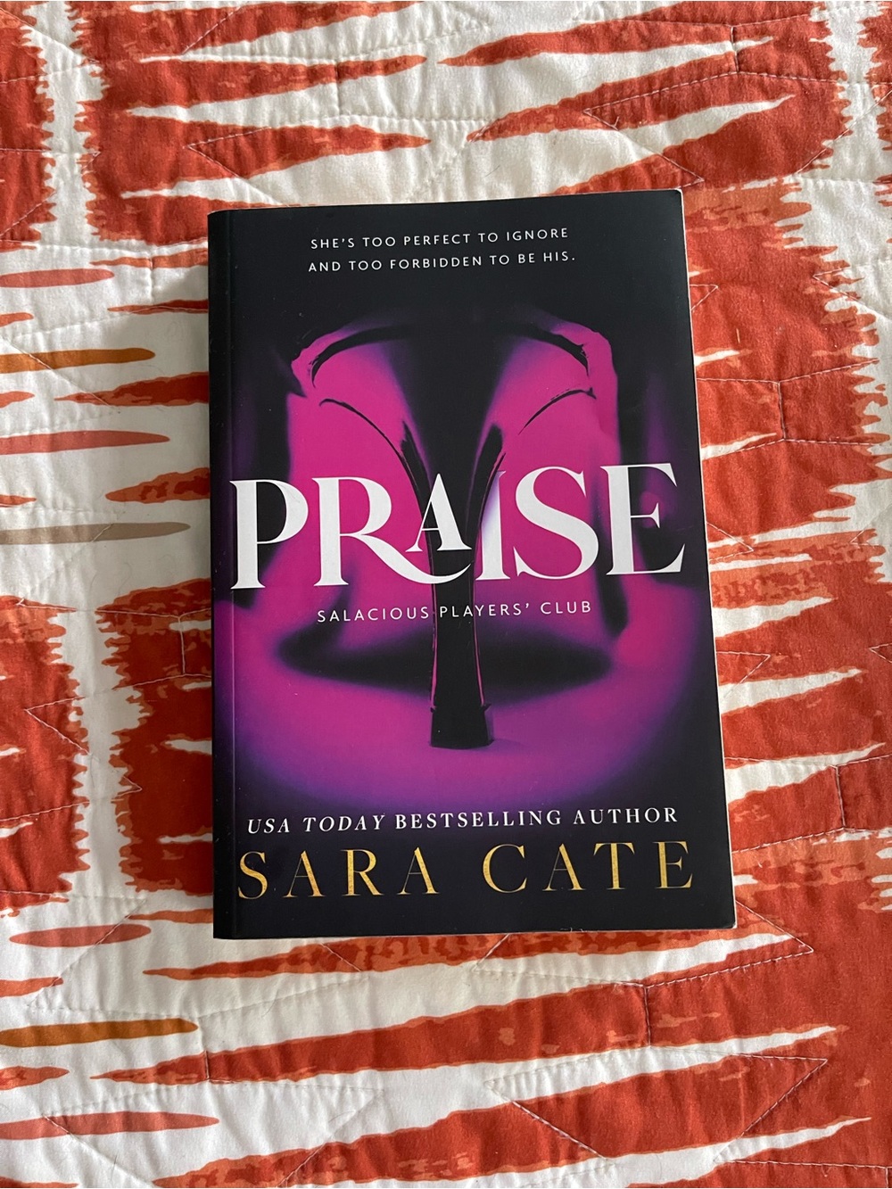 Sara Cate Book Set - first three books in the Salacious Plays Club Series - Picture 2 of 4